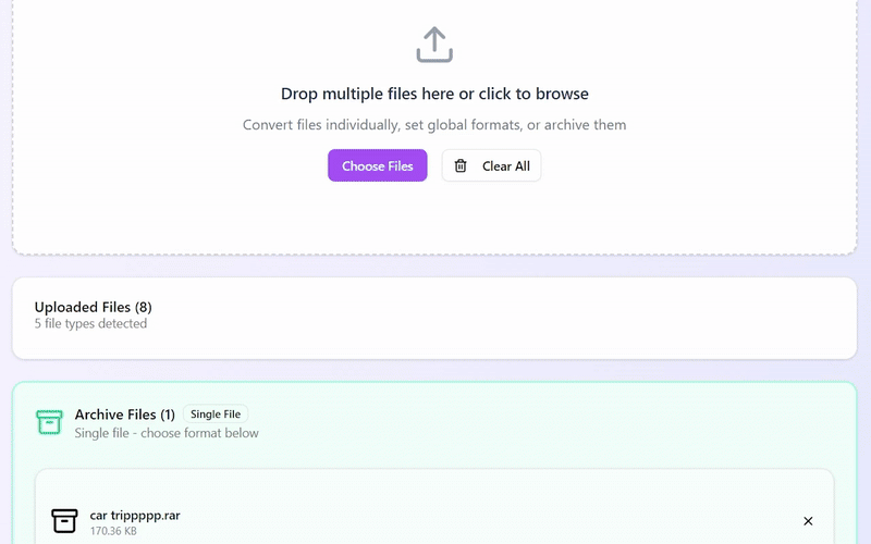 Format selection interface